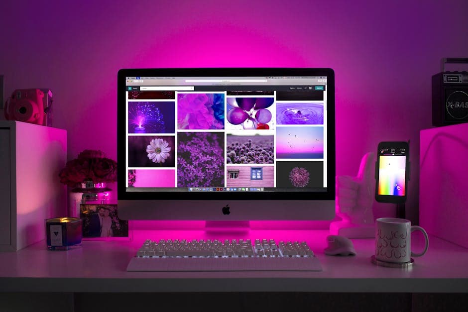 web design and hosting gold coast